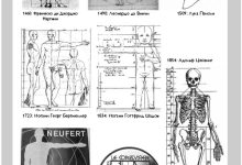 Photo of Связь между внешностью и здоровьем