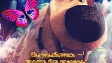 Photo of Улыбайтесь и мир улыбнется вам