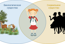 Photo of Влияние социального окружения на личность