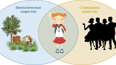 Photo of Влияние социального окружения на личность