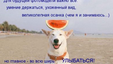 Photo of Важность ухоженного вида